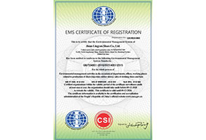 濟南(nán)淩雲鞋業(yè)有(yǒu)限公司-EMS（英文(wén)）