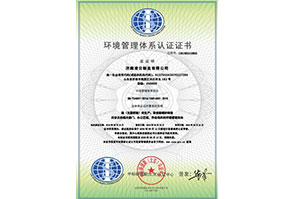 濟南(nán)淩雲鞋業(yè)有(yǒu)限公司-EMS中文(wén)