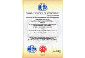 濟南(nán)淩雲鞋業(yè)有(yǒu)限公司-OHSMS英文(wén)