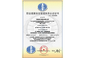 濟南(nán)淩雲鞋業(yè)有(yǒu)限公司-OHSMS中文(wén)