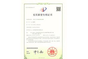 專利證書(shū)11