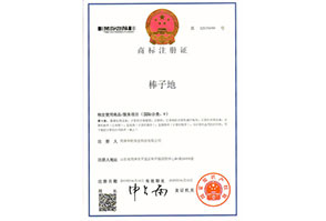 棒子(zǐ)地(dì)1