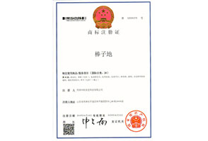 棒子(zǐ)地(dì)棒子(zǐ)地(dì)2