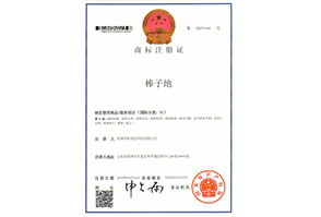 棒子(zǐ)地(dì)3