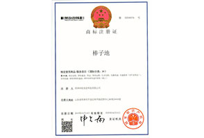 棒子(zǐ)地(dì)5