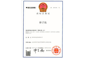 棒子(zǐ)地(dì)7