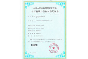 智慧醫(yī)療人(rén)口健康平台