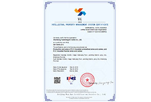 貫标案例-山(shān)東(dōng)玥聖鑫電(diàn)纜