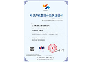 貫标-山(shān)東(dōng)維資财務