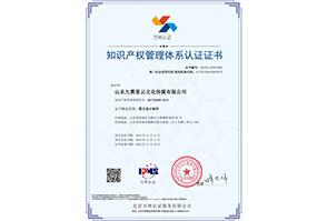 貫标-山(shān)東(dōng)九霄星雲