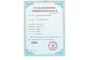 網絡性能(néng)管理(lǐ)系統